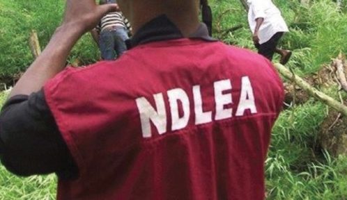 NDLEA website crashed down amid recruitment exercise